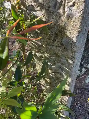 観音寺のその他建物