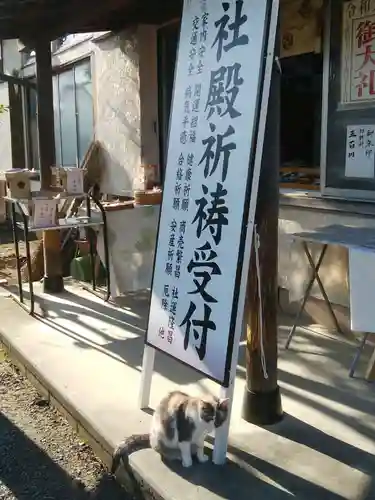 菖蒲神社の動物