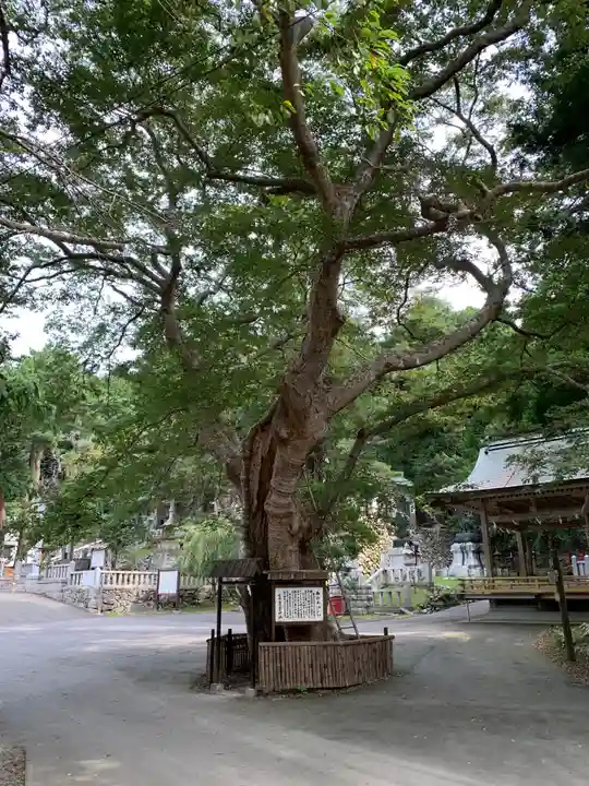 金華山黄金山神社の自然