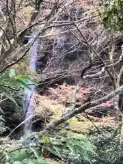 川津来宮神社の周辺