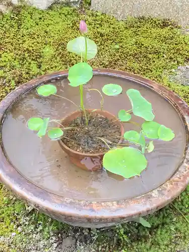 西方山極楽寺の自然