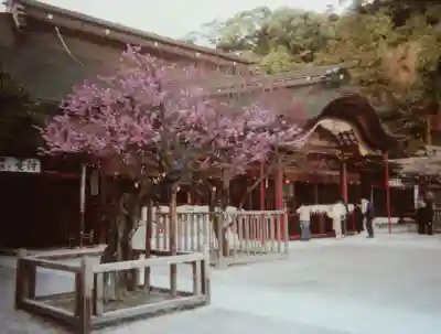 太宰府天満宮の本殿・本堂