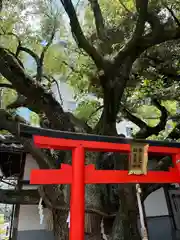 楠永神社(大阪府)