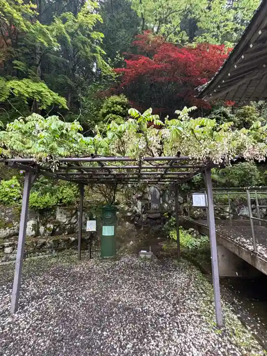 大聖寺(京都府)