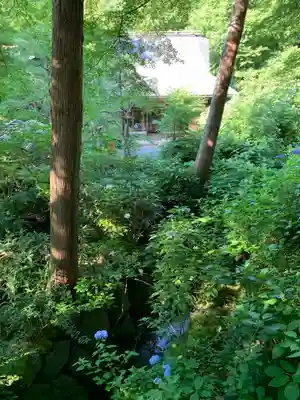 明月院のその他建物