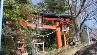 新倉富士浅間神社の鳥居