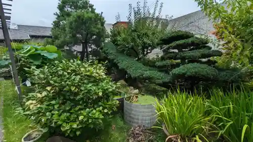 西運寺（狸寺）(京都府)