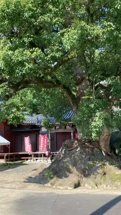 神恵院(香川県)
