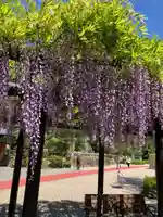 豊國神社(愛知県)