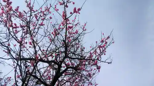 長岡天満宮の自然