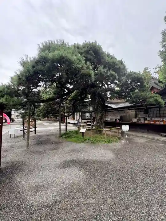 甲斐國一宮 浅間神社(山梨県)