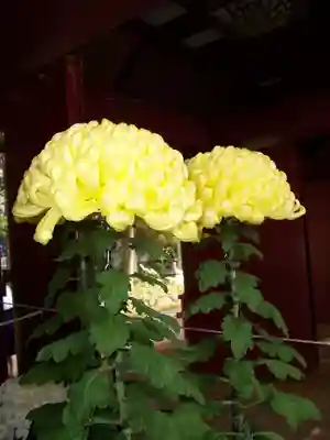 笠間稲荷神社(茨城県)