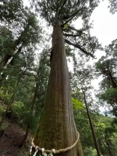 玉置神社(奈良県)