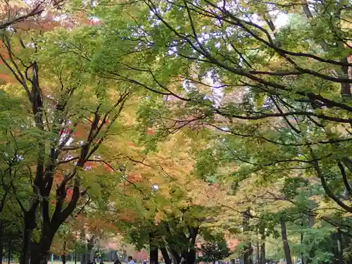 北海道神宮の景色