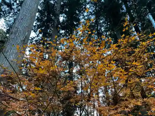 大宮温泉神社(栃木県)