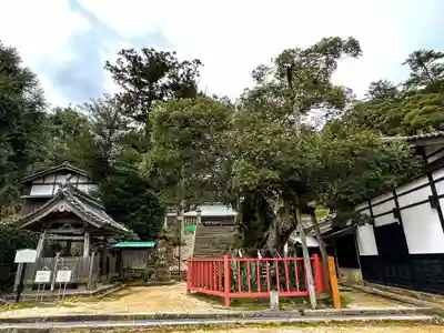 山王宮日吉神社(京都府)
