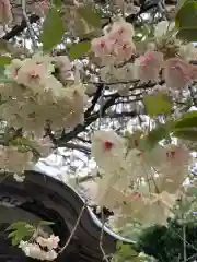 西福寺(福井県)