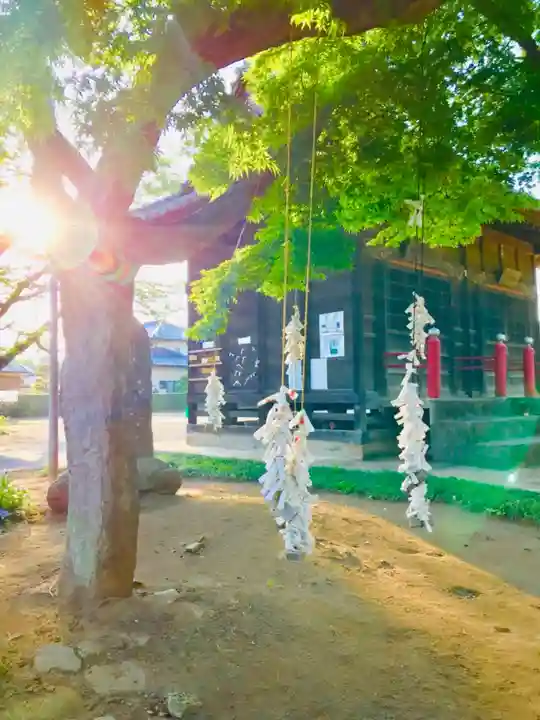 伏木香取神社のおみくじ