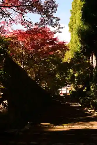 正伝護国禅寺(正伝寺･正傳寺)(京都府)