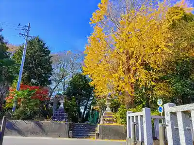 御嶽神社の自然