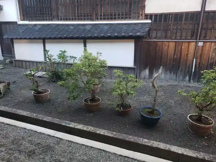 大通寺(長浜御坊)の周辺