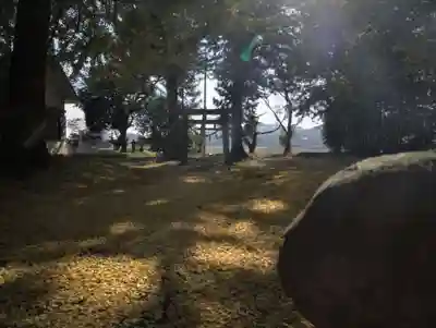 大網高龗神社のその他建物