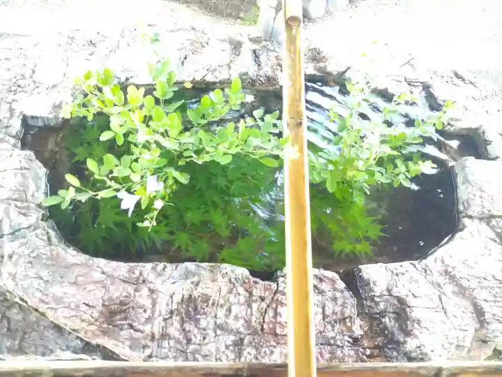 阿智神社の手水舎