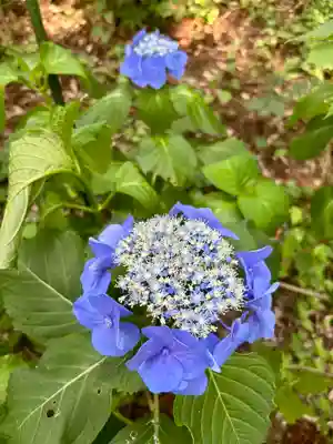 蚊里田八幡宮(長野県)