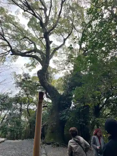 月夜見宮（豊受大神宮別宮）の{uncategorized: "未分類", other: "その他", undefined: "問題あり", building: "その他建物", grave: "お墓", sacred_gate: "鳥居", guardian: "狛犬", statue: "像", buddha: "仏像", history: "歴史", nature: "自然", garden: "庭園", animal: "動物", pagoda: "塔", temizu: "手水舎", mountain_gate: "山門・神門", sanctuary: "本殿・本堂", subordinate: "末社・摂社", art: "芸術", scenery: "景色", jizo: "地蔵", ema: "絵馬", goshuin: "御朱印", omikuji: "おみくじ", items: "授与品その他", amulet: "お守り", goshuincho: "御朱印帳", eats: "食事", festival: "お祭り", votive_dance: "神楽", shichigosan: "七五三参", wedding: "結婚式", experience: "体験その他", initially: "初詣", around: "周辺", anti_infection: "感染症対策"}