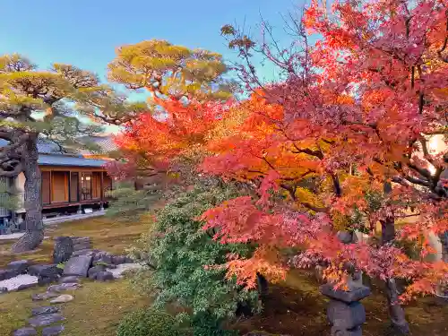 妙顯寺（妙顕寺）の庭園