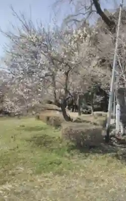 熊野本宮社(宮城県)