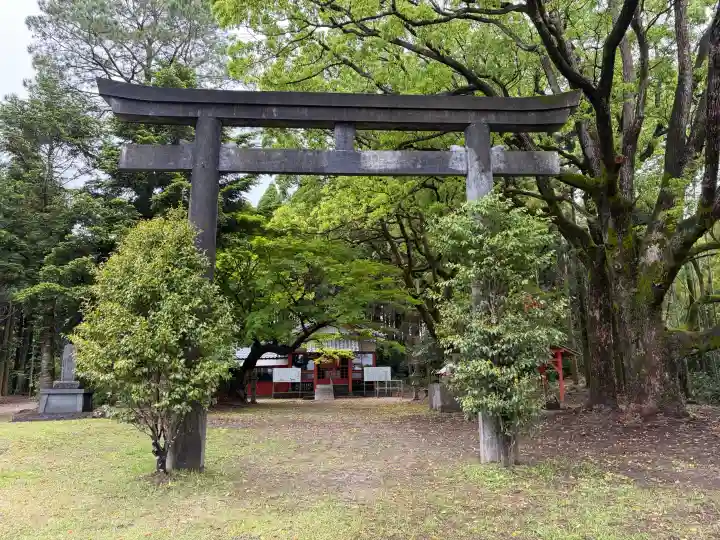 日枝神社の{uncategorized: "未分類", other: "その他", undefined: "問題あり", building: "その他建物", grave: "お墓", sacred_gate: "鳥居", guardian: "狛犬", statue: "像", buddha: "仏像", history: "歴史", nature: "自然", garden: "庭園", animal: "動物", pagoda: "塔", temizu: "手水舎", mountain_gate: "山門・神門", sanctuary: "本殿・本堂", subordinate: "末社・摂社", art: "芸術", scenery: "景色", jizo: "地蔵", ema: "絵馬", goshuin: "御朱印", omikuji: "おみくじ", items: "授与品その他", amulet: "お守り", goshuincho: "御朱印帳", eats: "食事", festival: "お祭り", votive_dance: "神楽", shichigosan: "七五三参", wedding: "結婚式", experience: "体験その他", initially: "初詣", around: "周辺", anti_infection: "感染症対策"}