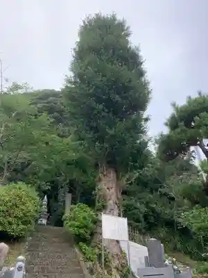 覚翁寺のその他建物