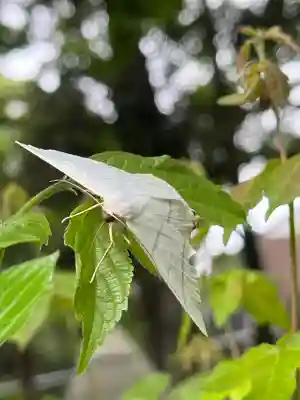 若宮神明社(愛知県)