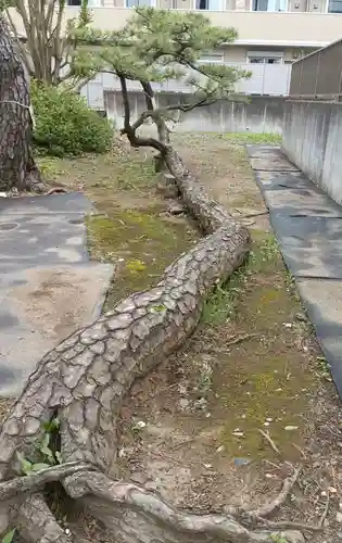 西小松川天祖神社(東京都)
