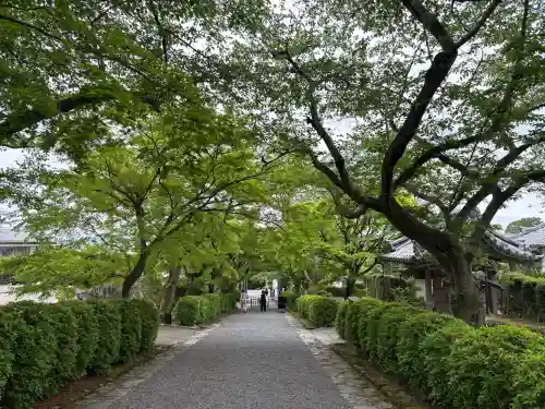 西教寺の{uncategorized: "未分類", other: "その他", undefined: "問題あり", building: "その他建物", grave: "お墓", sacred_gate: "鳥居", guardian: "狛犬", statue: "像", buddha: "仏像", history: "歴史", nature: "自然", garden: "庭園", animal: "動物", pagoda: "塔", temizu: "手水舎", mountain_gate: "山門・神門", sanctuary: "本殿・本堂", subordinate: "末社・摂社", art: "芸術", scenery: "景色", jizo: "地蔵", ema: "絵馬", goshuin: "御朱印", omikuji: "おみくじ", items: "授与品その他", amulet: "お守り", goshuincho: "御朱印帳", eats: "食事", festival: "お祭り", votive_dance: "神楽", shichigosan: "七五三参", wedding: "結婚式", experience: "体験その他", initially: "初詣", around: "周辺", anti_infection: "感染症対策"}