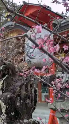 長岡天満宮の狛犬