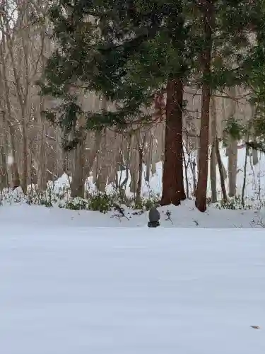 大岩稲荷神社の{uncategorized: "未分類", other: "その他", undefined: "問題あり", building: "その他建物", grave: "お墓", sacred_gate: "鳥居", guardian: "狛犬", statue: "像", buddha: "仏像", history: "歴史", nature: "自然", garden: "庭園", animal: "動物", pagoda: "塔", temizu: "手水舎", mountain_gate: "山門・神門", sanctuary: "本殿・本堂", subordinate: "末社・摂社", art: "芸術", scenery: "景色", jizo: "地蔵", ema: "絵馬", goshuin: "御朱印", omikuji: "おみくじ", items: "授与品その他", amulet: "お守り", goshuincho: "御朱印帳", eats: "食事", festival: "お祭り", votive_dance: "神楽", shichigosan: "七五三参", wedding: "結婚式", experience: "体験その他", initially: "初詣", around: "周辺", anti_infection: "感染症対策"}