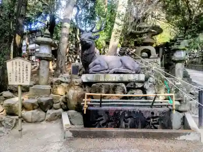 春日大社の{uncategorized: "未分類", other: "その他", undefined: "問題あり", building: "その他建物", grave: "お墓", sacred_gate: "鳥居", guardian: "狛犬", statue: "像", buddha: "仏像", history: "歴史", nature: "自然", garden: "庭園", animal: "動物", pagoda: "塔", temizu: "手水舎", mountain_gate: "山門・神門", sanctuary: "本殿・本堂", subordinate: "末社・摂社", art: "芸術", scenery: "景色", jizo: "地蔵", ema: "絵馬", goshuin: "御朱印", omikuji: "おみくじ", items: "授与品その他", amulet: "お守り", goshuincho: "御朱印帳", eats: "食事", festival: "お祭り", votive_dance: "神楽", shichigosan: "七五三参", wedding: "結婚式", experience: "体験その他", initially: "初詣", around: "周辺", anti_infection: "感染症対策"}
