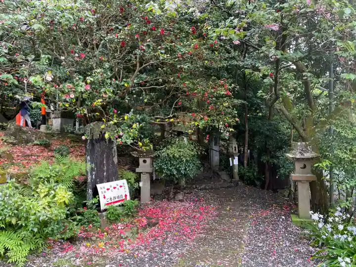 大豊神社(京都府)