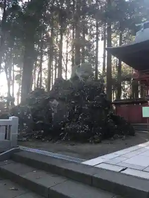 富士山東口本宮 冨士浅間神社の狛犬