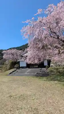 泰門庵(滋賀県)