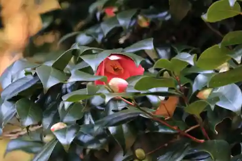 鹿島大神宮の庭園