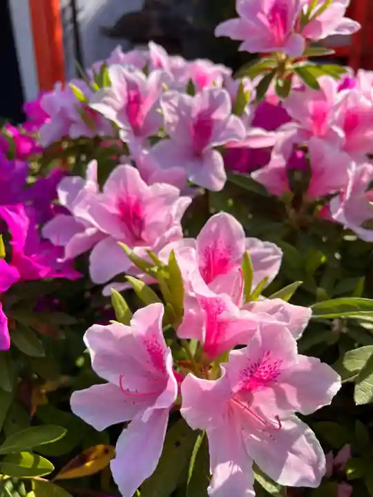 崇道天皇社(奈良県)