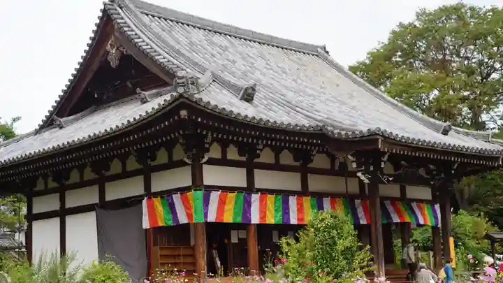 般若寺 ❁コスモス寺❁(奈良県)