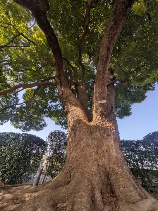 乗泉寺世田谷別院(東京都)