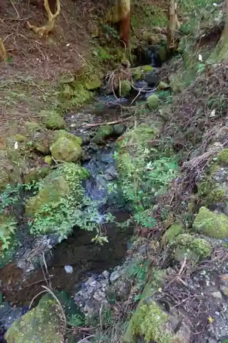 古知谷阿弥陀寺の自然