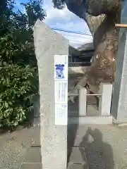 須賀神社の建物その他