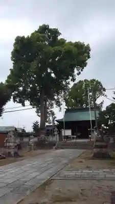 竹鼻八剱神社(八剣神社)の本殿・本堂