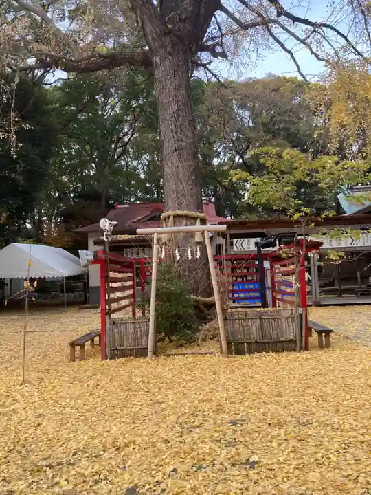 平塚八幡宮(神奈川県)